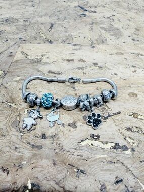 Hallmark Stainless Steel Charm Bracelet w/ Blue Crystal, Boy’s, Dog’s, Elephant